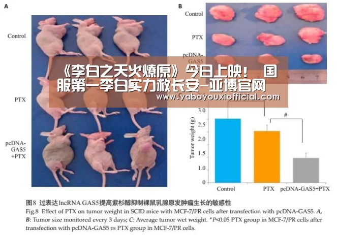 《李白之天火燎原》今日上映！  国服第一李白实力救长安-亚博官网