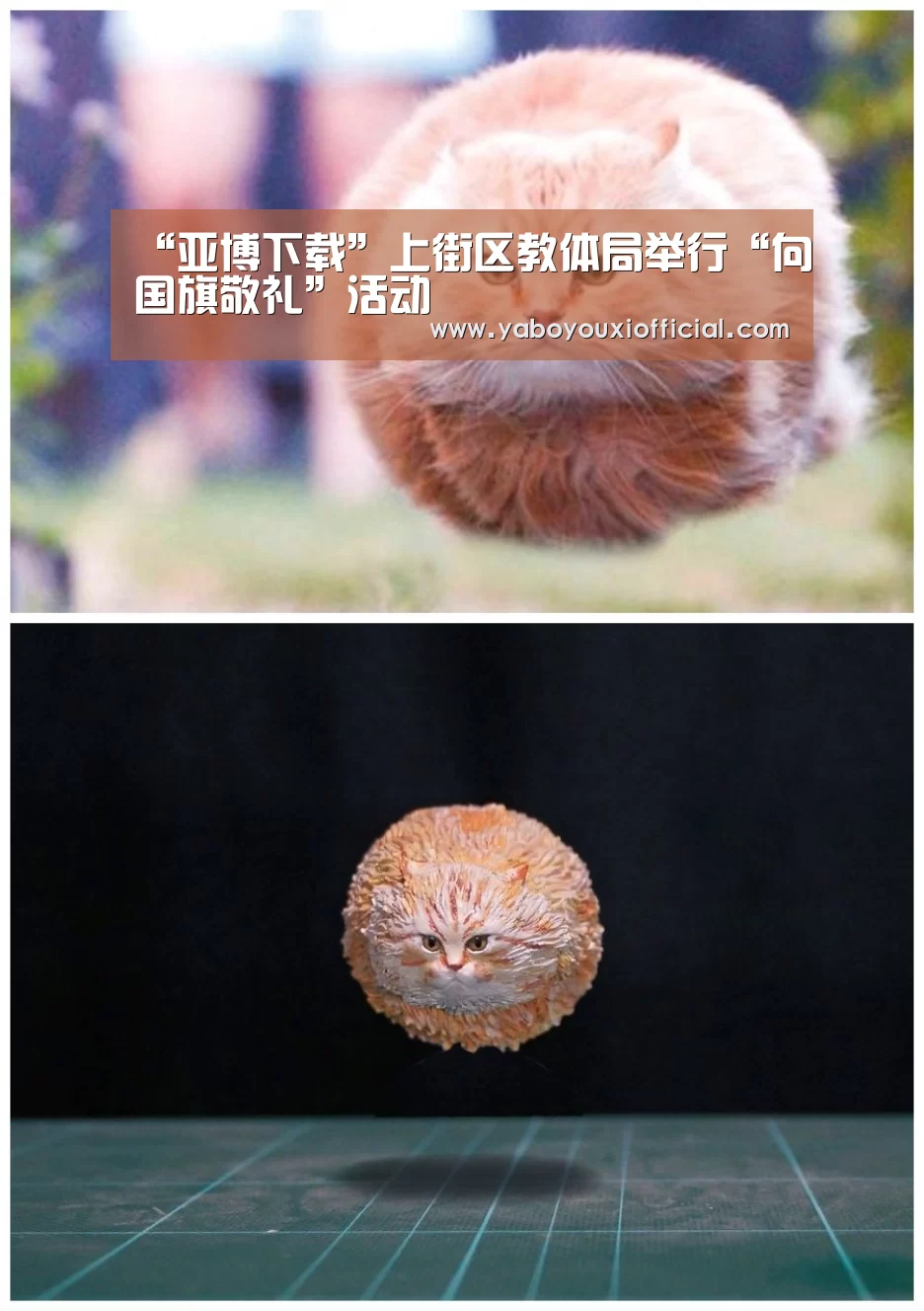 亚博快讯