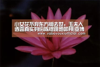 小女花不弃东方炻去世,玉夫人透露真实身份陈煜跪地叩拜|亚博游戏(图3) 亚博游戏