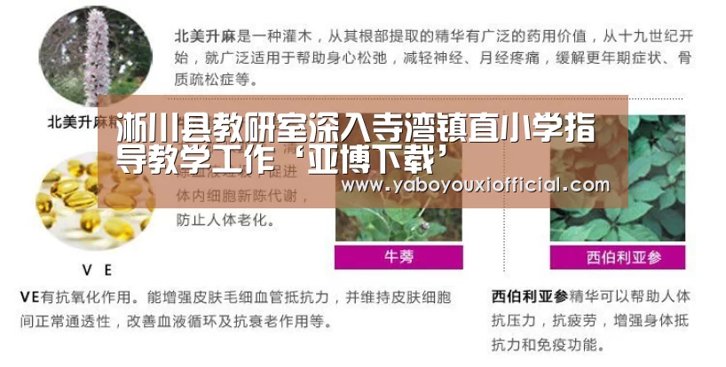 淅川县教研室深入寺湾镇直小学指导教学工作‘亚博下载’(图1) 亚博下载